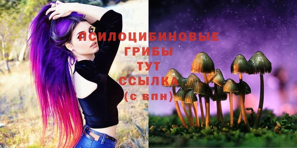 мяу мяу мука Балахна