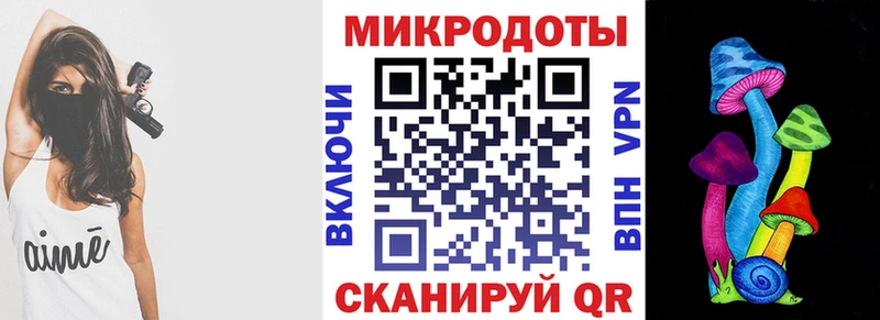 что такое   Торжок  Псилоцибиновые грибы MAGIC MUSHROOMS 