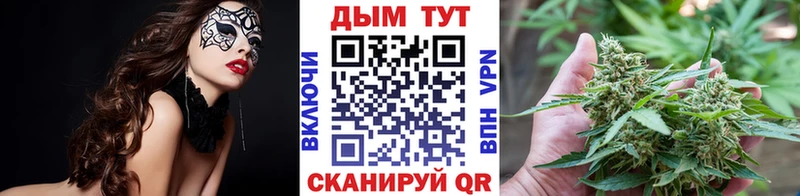купить  цена  Торжок  сайты даркнета формула  Каннабис семена 